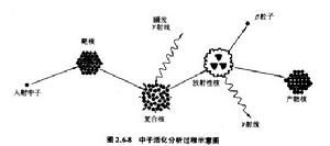 同位素中子活化分析