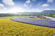 花谷奇緣旅遊度假區