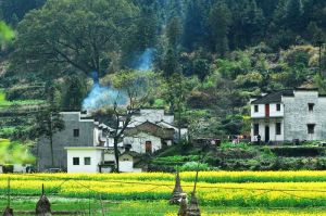 硯山村[雲南省靖市羅平縣舊屋基鄉硯山村]