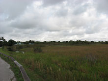 大沼澤地國家公園