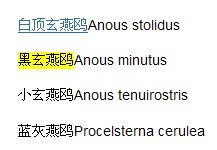 黑玄燕鷗 Anous minutus