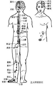 十二經別