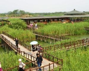 濕地公園[以水為主題的濕地公園]