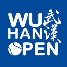 武漢網球公開賽