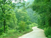 白水縣方山森林公園