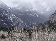 美國落基山高山凍原