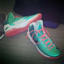 Zoom KD 5