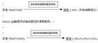 固定期限交換利率