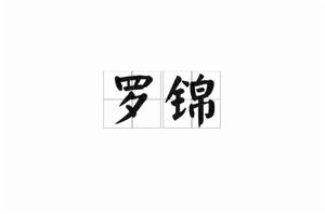 羅錦[漢語詞語]