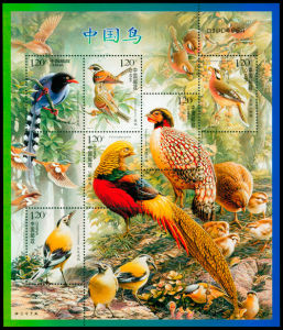 2008-4 中國鳥(T)
