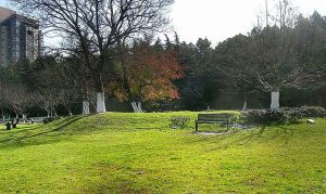 景點介紹編輯索山公園