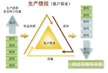 精益六西格瑪項目