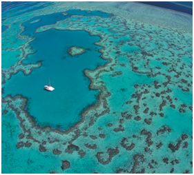大堡礁世界Reef World