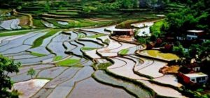 金剛台（西河）生態旅遊區