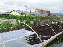 鳳山鎮[貴州省福泉市鳳山鎮]