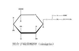 黑介子硫苷酸鉀