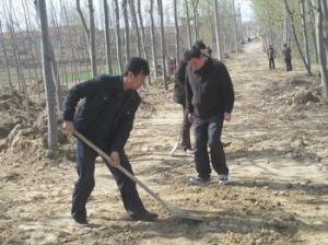 龍塘鎮[商丘市]