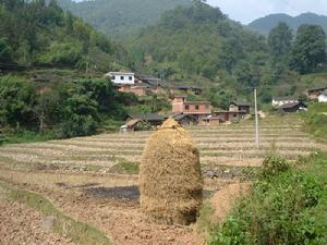 奎馬村