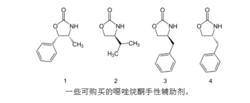 幾種手性助劑