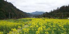 三英村[廣東潮安區龍湖鎮下轄村]