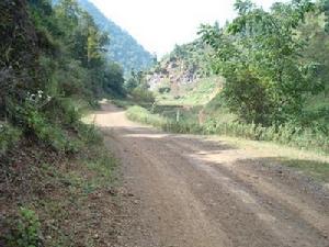 通村道路