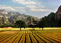 東澤山村 東澤山村