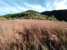 風景[漢語詞語]