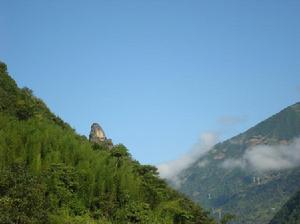 托扒卡村特色產業－村竹林