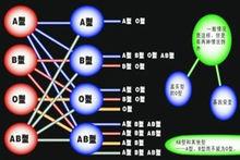 罕見cisAB血型