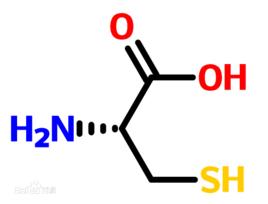 CYS[半胱氨酸cysteine]