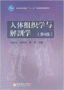 人體組織學與解剖學