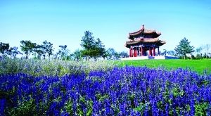 北京南海子郊野公園