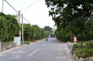 道路寬闊整潔