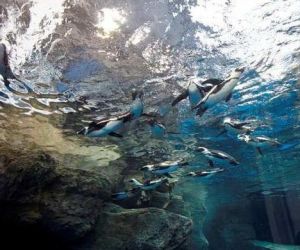 京都水族館