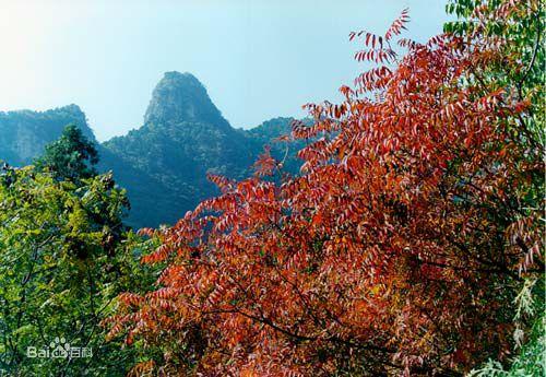 韭山國家森林公園風景