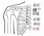 彧中穴所在位置