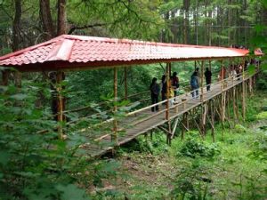 吊水壺國家森林公園