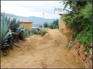 進村道路