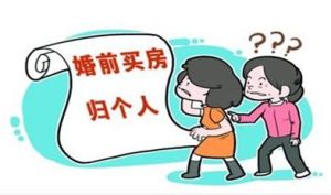 婚前財產[法律名詞]