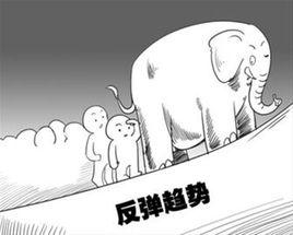 反彈[股市名詞]