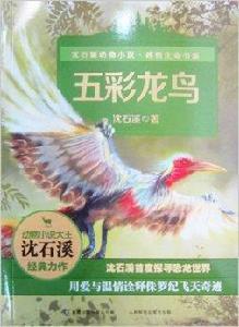 沈石溪動物小說·感悟生命書系：五彩龍鳥