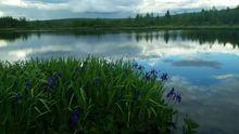 伊圖里國家濕地公園核心區域湖泊