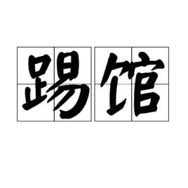 踢館[漢語詞語]