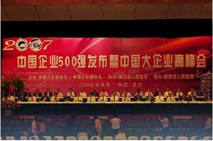 2007年9月1日，由中國企業聯合會、中國企業家協會主辦的“2007中國企業500強暨中國大企業高峰會”在湖北武漢市召開，會上發布了2007中國企業500強，河北敬業企業集團、石家莊三鹿集團股份有限公司2家企業進入了中國企業500強綜合排名。