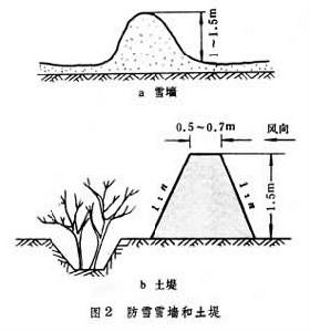 公路冬季養護