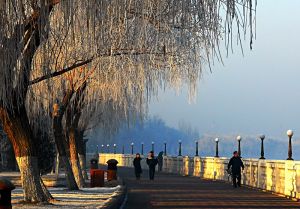 遼河公園