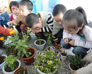 麻城鐵路幼稚園