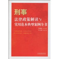 刑事法律政策解讀與實用範本典型案例全書