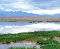 大蘇乾湖自然保護區