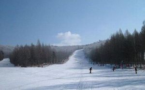 桃山滑雪場